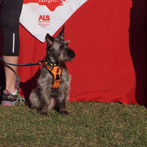 Meet your Posher, Leah - Picture 3 of 5